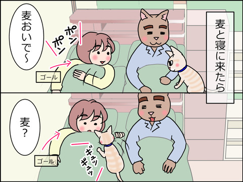 あんこ&麦STORY1513a