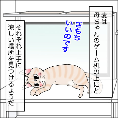あんこ＆麦STORY2127b