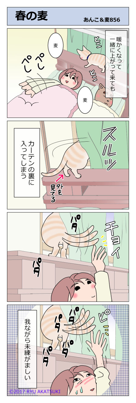 あんこ&麦STORY856