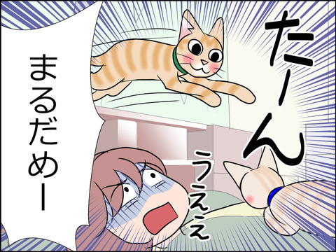 あんこ&麦STORY1568c