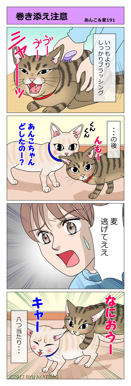 あんこ&麦STORY191