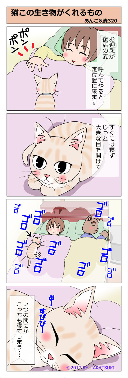 あんこ＆麦STORY320