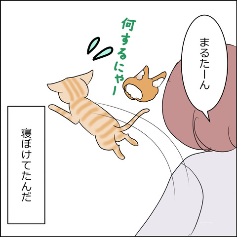 あんこ&麦STORY2499d