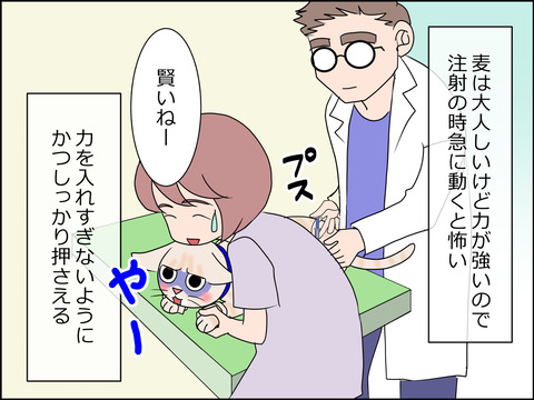 あんこ&麦kenko24b