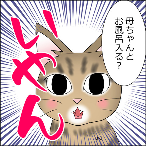 あんこ＆麦STORY1747c