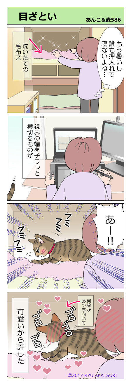 あんこ&麦STORY586