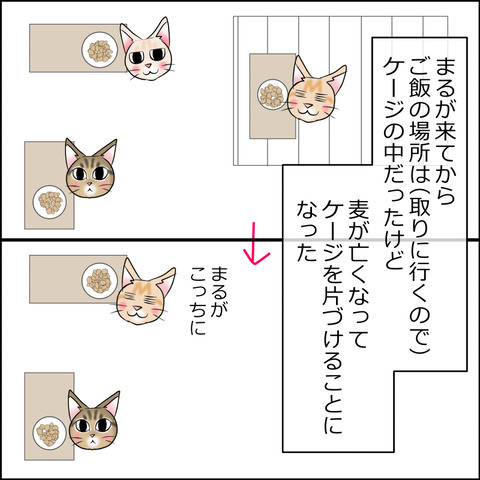 あんこ＆麦STORY2436a