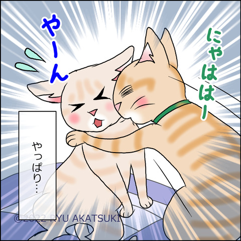 あんこ＆麦STORY1651d