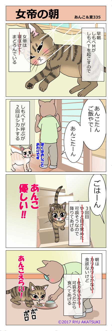 あんこ＆麦STORY335