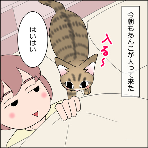 あんこ&麦STORY2438a