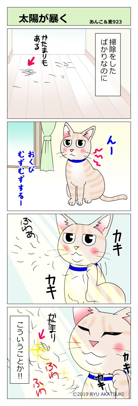 あんこ&麦STORY923