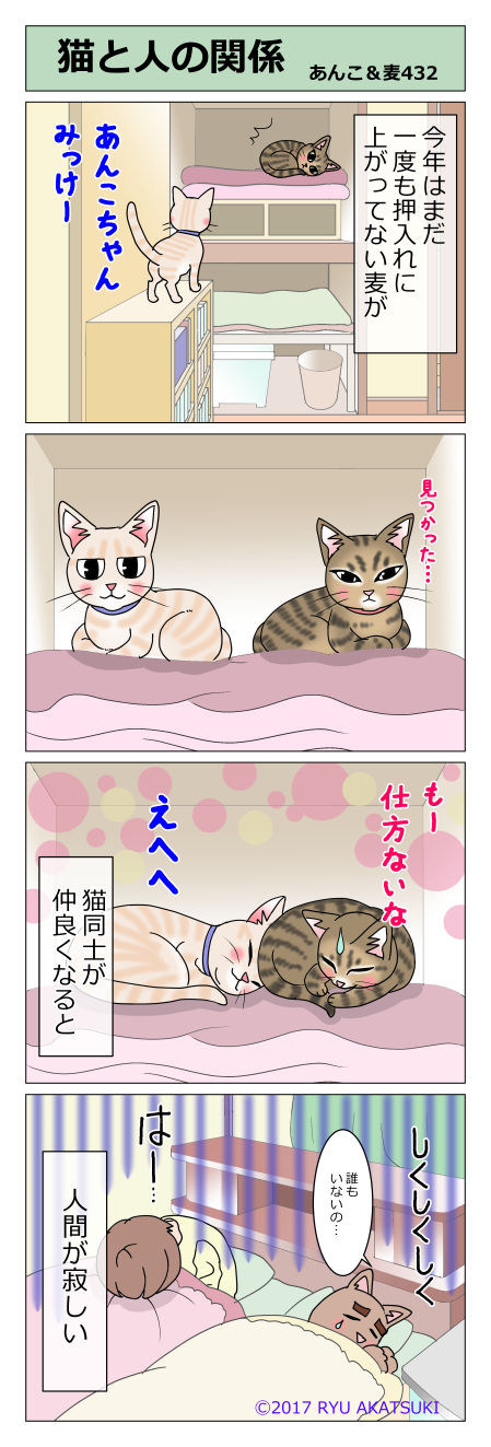 あんこ&麦STORY432