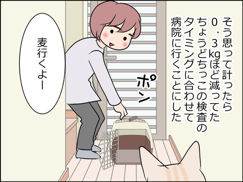 あんこ&麦STORY1560c