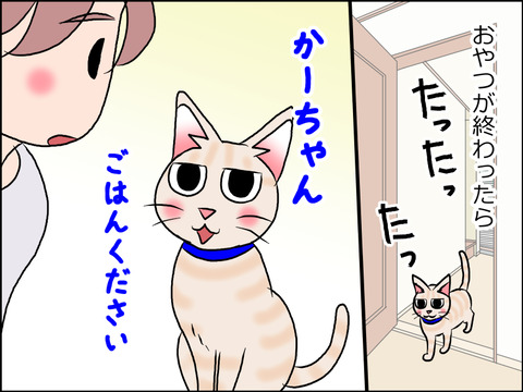 あんこ&麦STORY1569c
