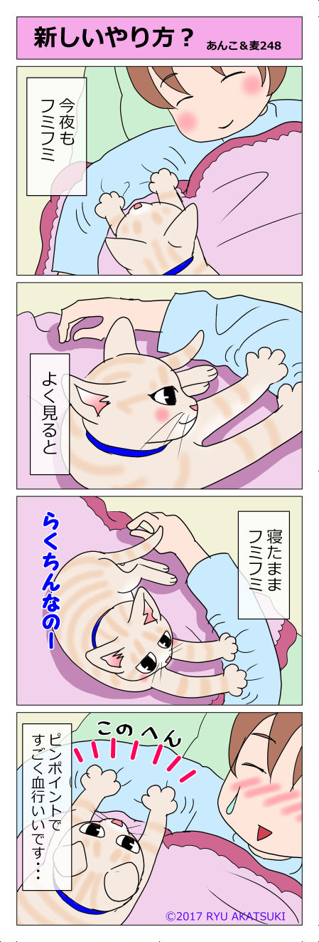 あんこ＆麦STORY248