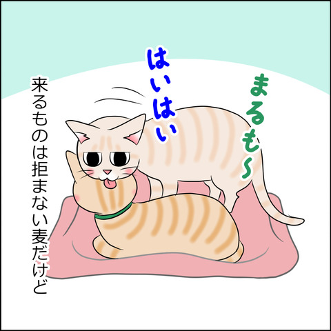 あんこ＆麦STORY1799b