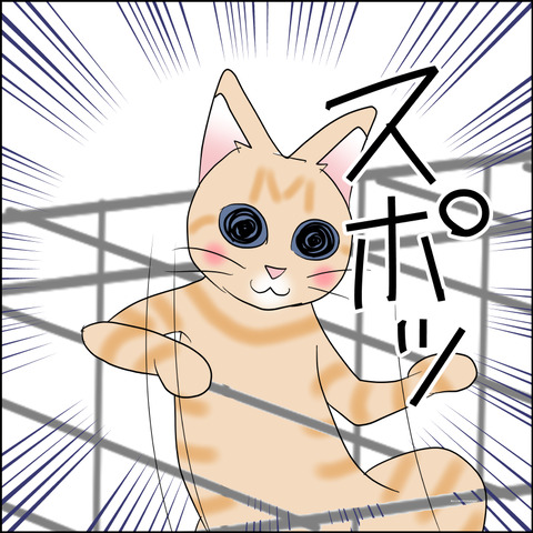 あんこ&麦STORY2496c