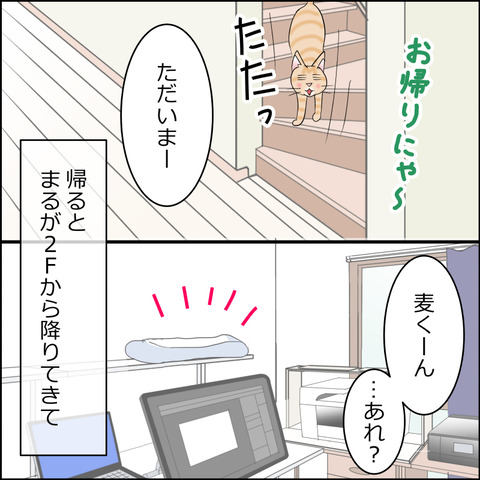 あんこ＆麦STORY2330b