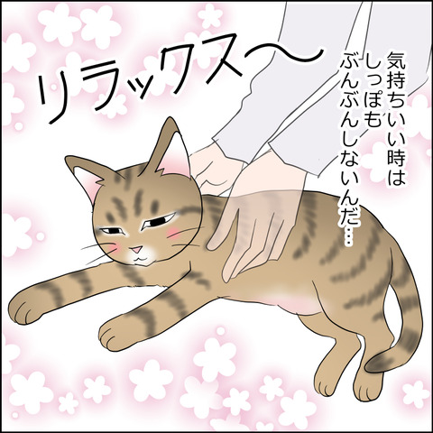 あんこ&麦STORY2365c