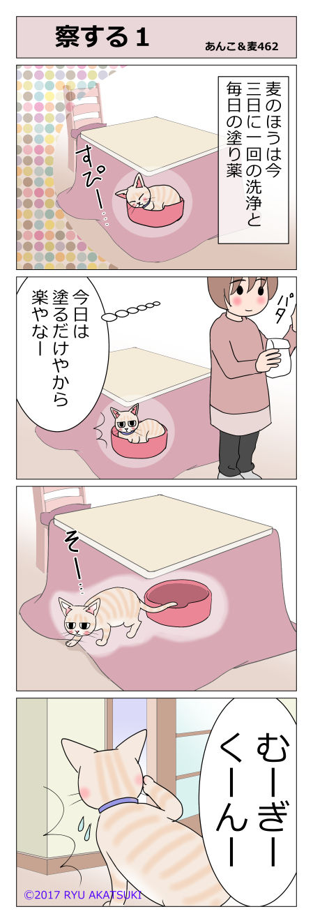 あんこ&麦STORY462