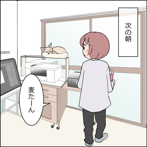 あんこ＆麦STORY2378b