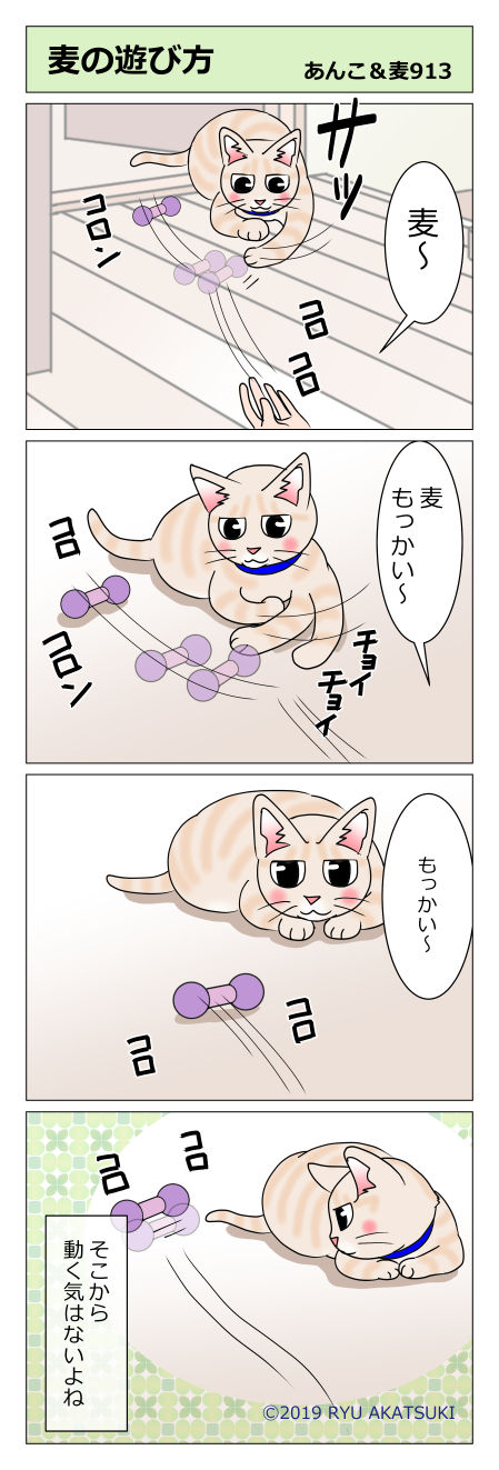 あんこ&麦STORY913