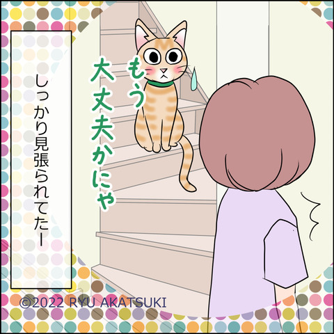 あんこ&麦STORY1686d