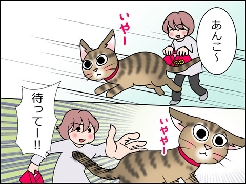あんこ&麦STORY1512c
