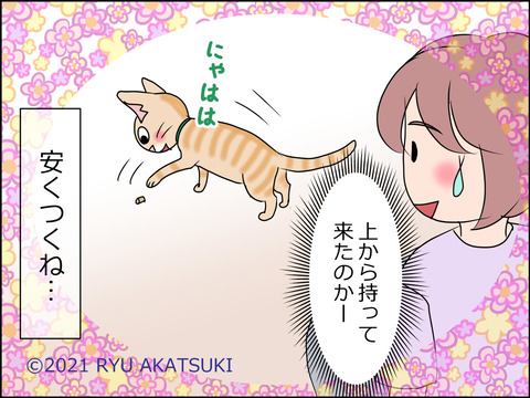 あんこ&麦STORY1455d