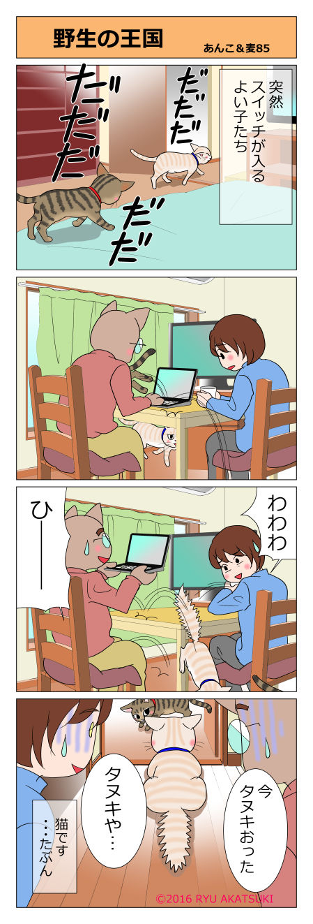 あんこ＆麦STORY85