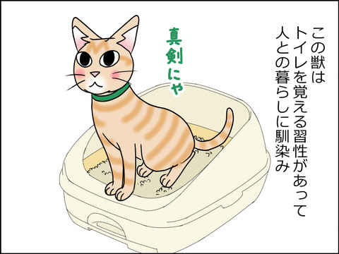 あんこ&麦STORY1523b