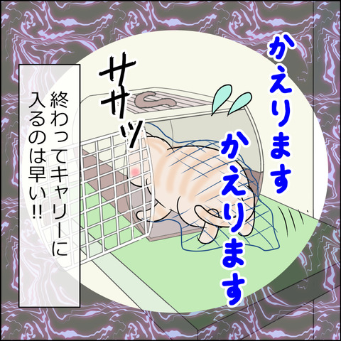 あんこ＆麦STORY1735d