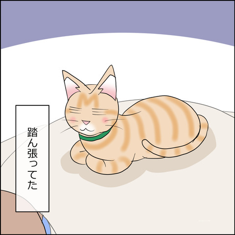 あんこ＆麦STORY2271d