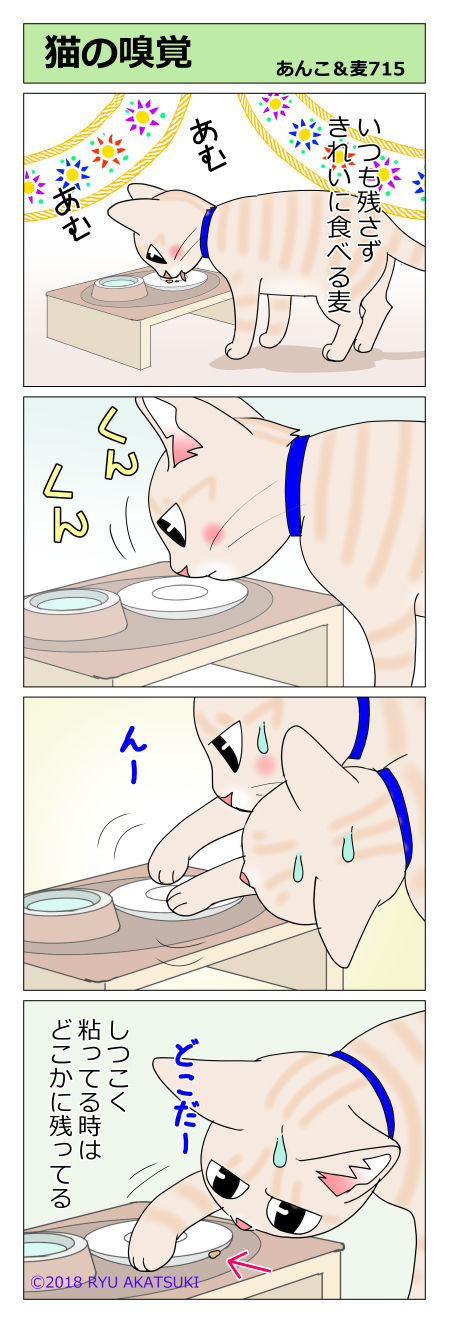 あんこ＆麦STORY715