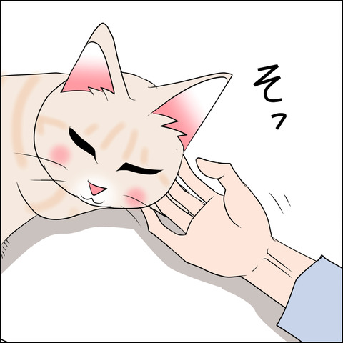 あんこ&麦STORY1978b