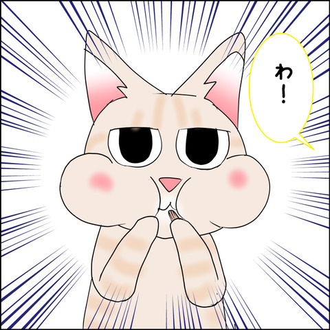 mugitabix024d