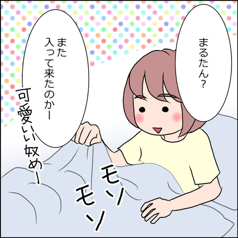 あんこ＆麦STORY1649b
