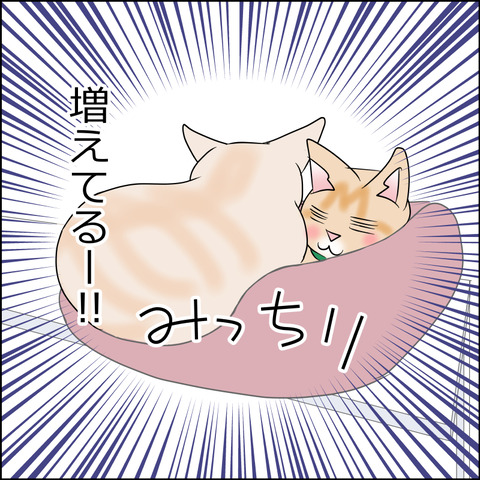 あんこ＆麦STORY1984c