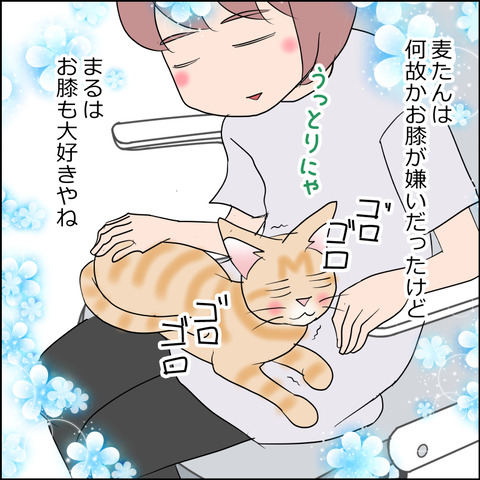 あんこ&麦STORY2477c