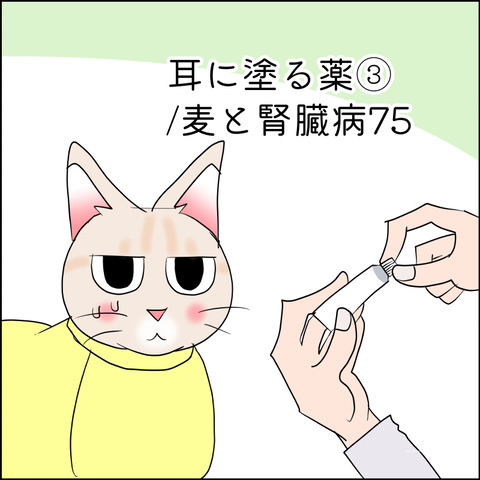 あんこ＆麦kenko145@