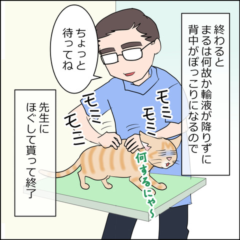 あんこ＆麦kenko156d