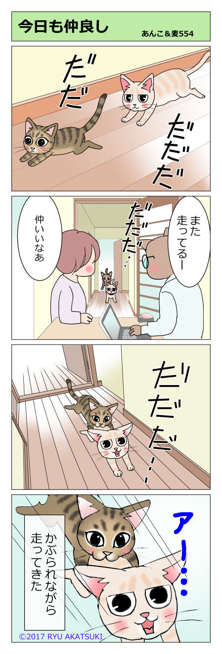 あんこ&麦STORY554