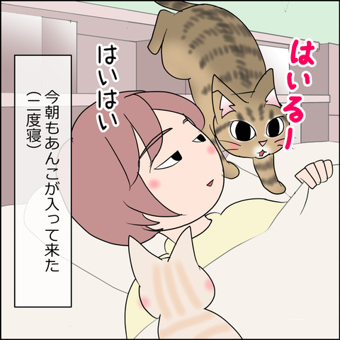 あんこ＆麦STORY2399a