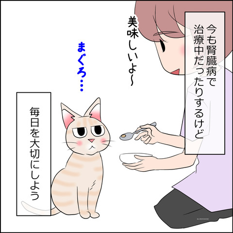 nekokita253c