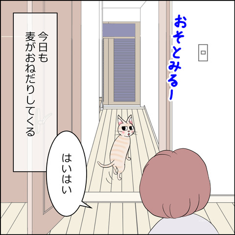 あんこ&麦STORY2342a
