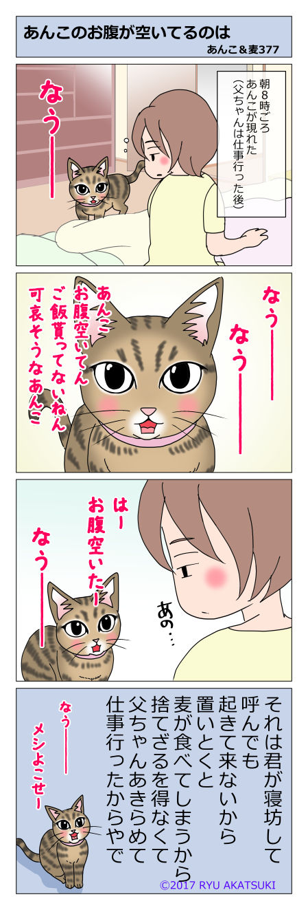 あんこ&麦STORY377