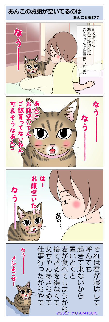 あんこ＆麦STORY377