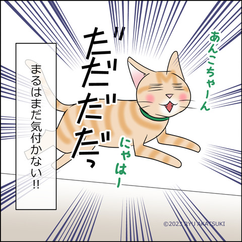 あんこ＆麦STORY1980d