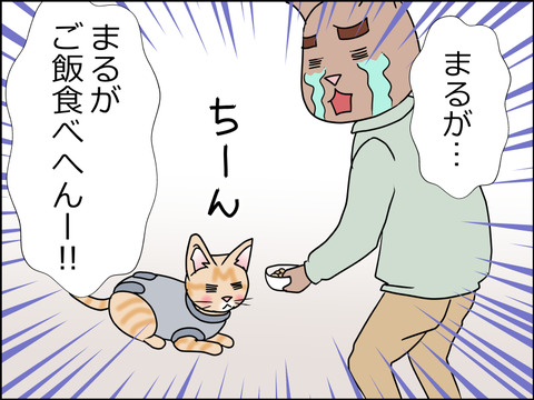 あんこ&麦kenko37a