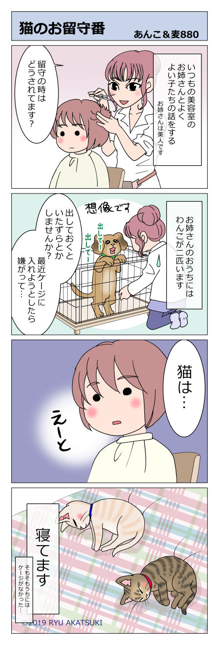 あんこ&麦STORY880